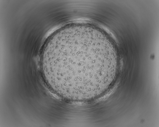 X0000116780970201001281650