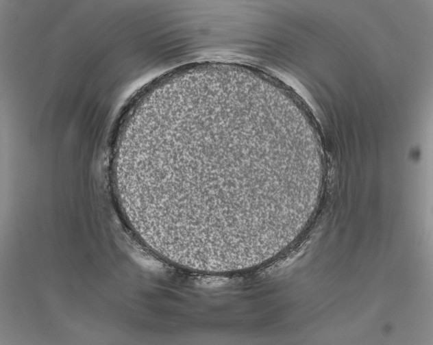 X0000116780971201001281650