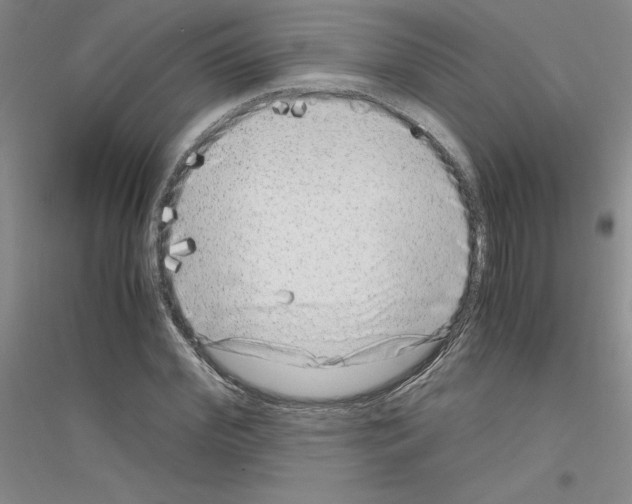 X0000116780972201001281650