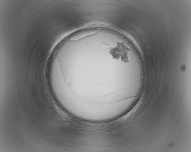 X0000116780973201001281650