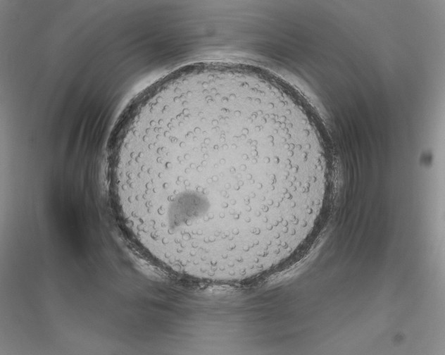 X0000116780974201001281650