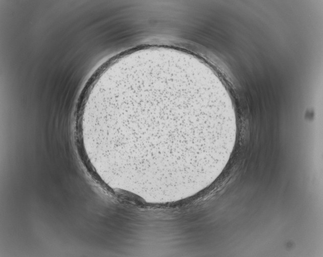 X0000116780976201001281650