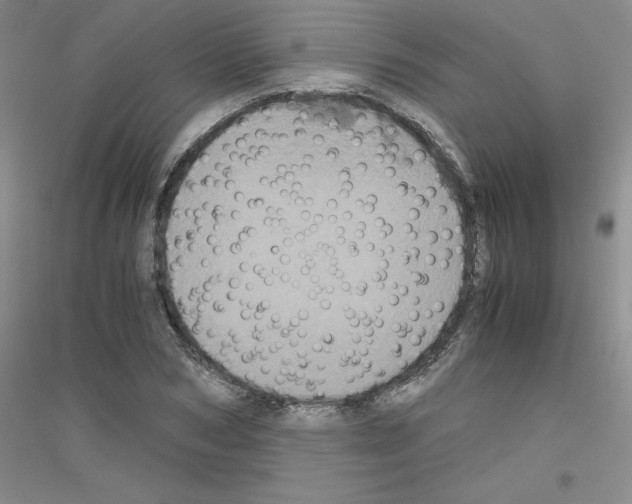 X0000116780978201001281650