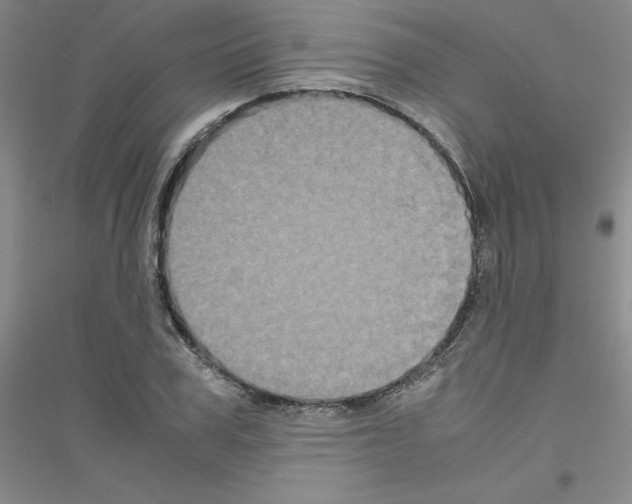 X0000116780979201001281650