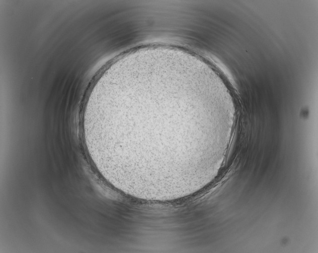 X0000116780980201001281650