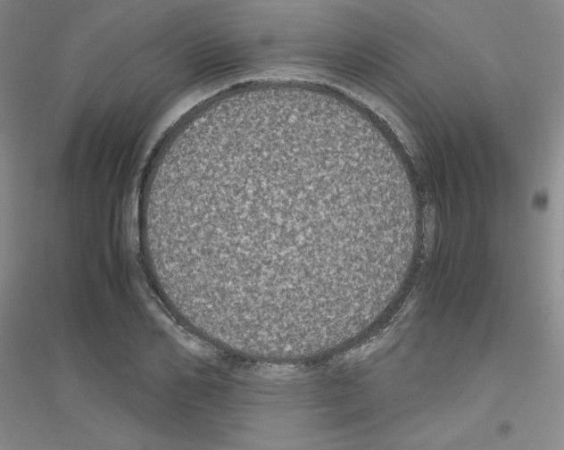 X0000116780982201001281650