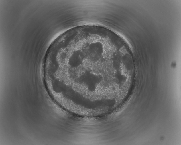 X0000116780983201001281650