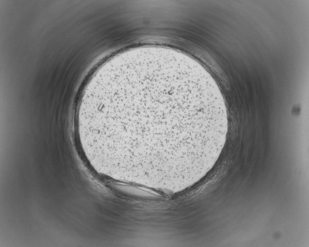 X0000116780984201001281650