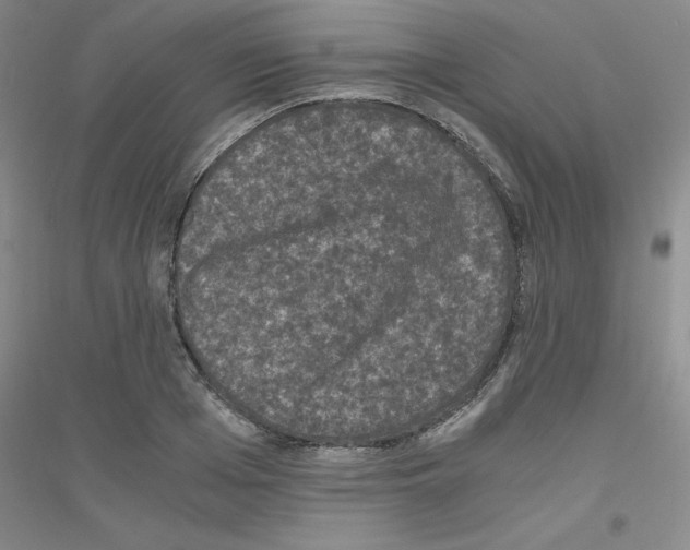 X0000116780985201001281650