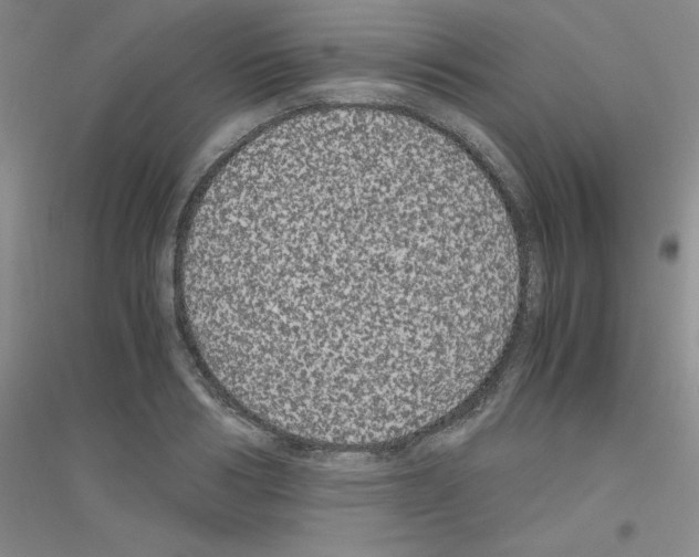 X0000116780986201001281650