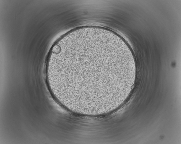 X0000116780987201001281650