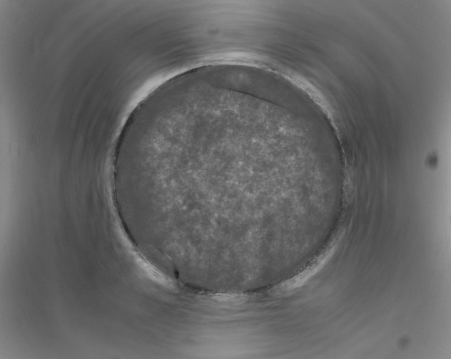 X0000116780989201001281650