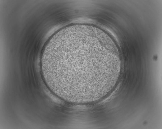 X0000116780990201001281650