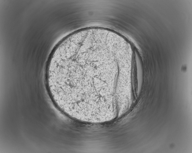 X0000116780991201001281650