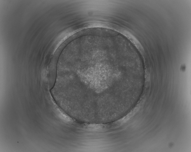 X0000116780993201001281650