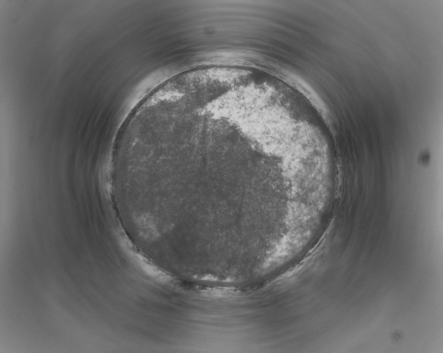 X0000116780994201001281650