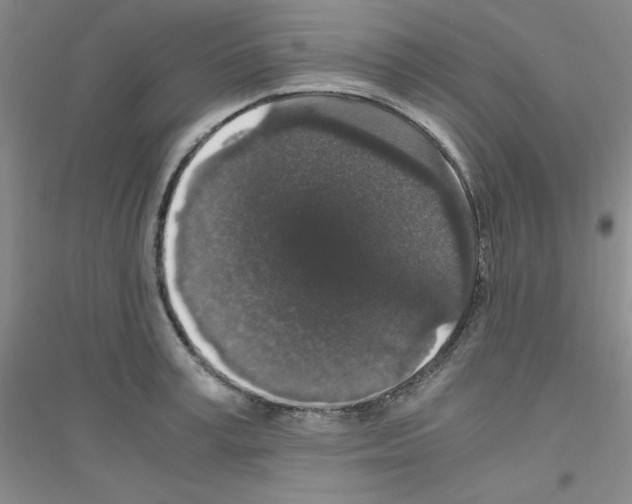 X0000116780995201001281650