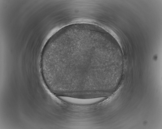 X0000116780997201001281650