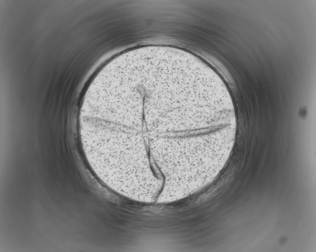 X0000116781000201001281650