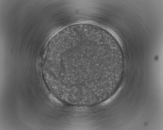 X0000116781001201001281650