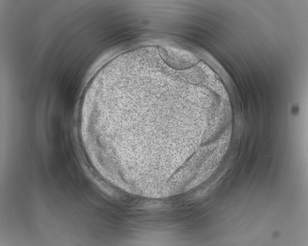 X0000116781002201001281650