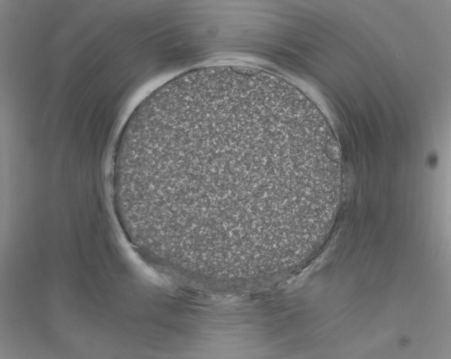 X0000116781003201001281650