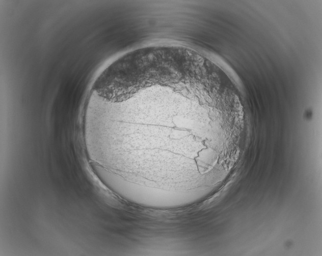 X0000116781004201001281650