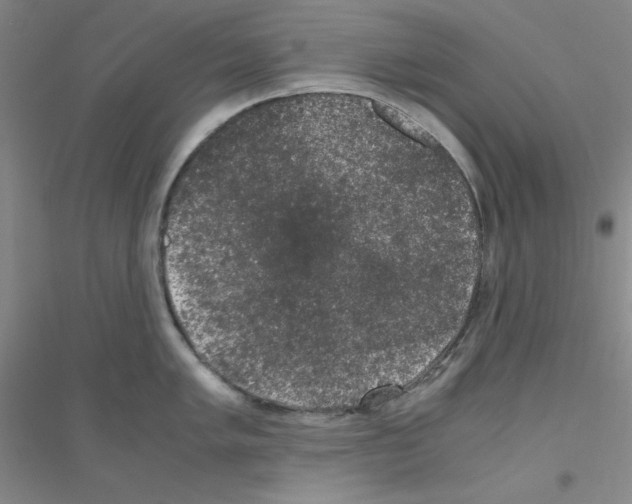 X0000116781005201001281650