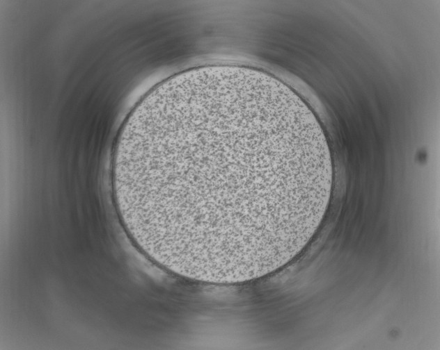 X0000116781006201001281650