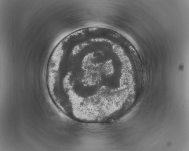 X0000116781007201001281650