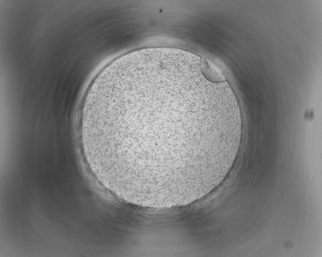 X0000116781008201001281650