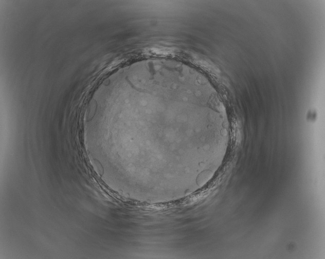 X0000116781009201001281649