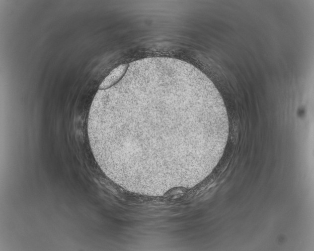 X0000116781010201001281649