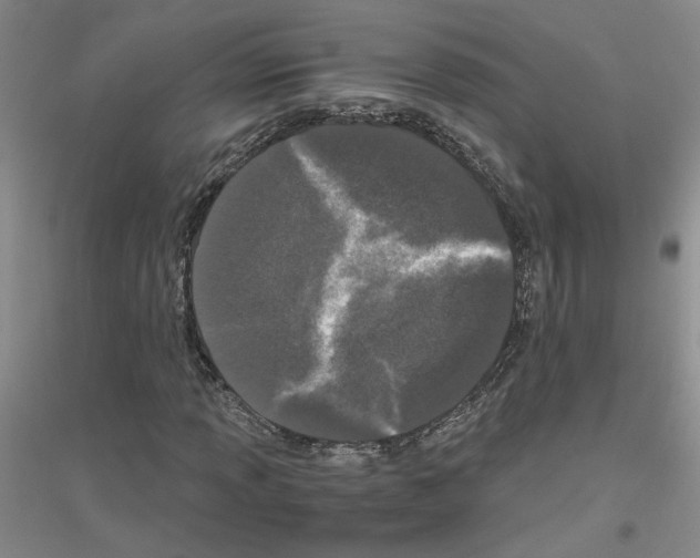 X0000116781013201001281649