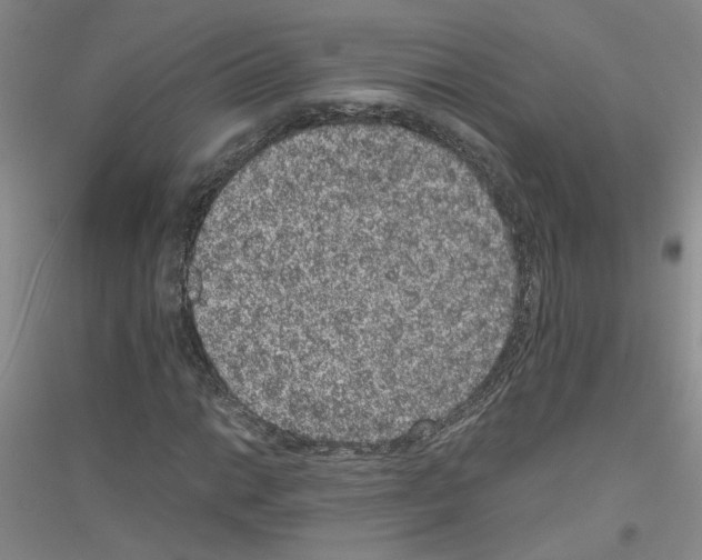 X0000116781014201001281649