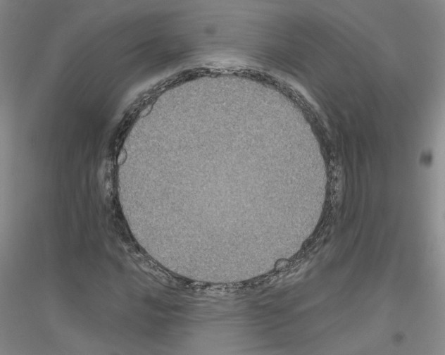 X0000116781016201001281649