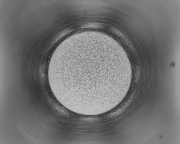 X0000116781017201001281649