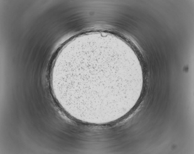 X0000116781018201001281649