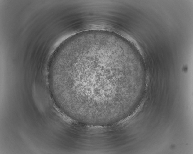 X0000116781019201001281649