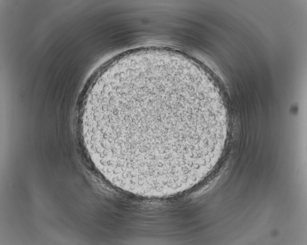 X0000116781021201001281649