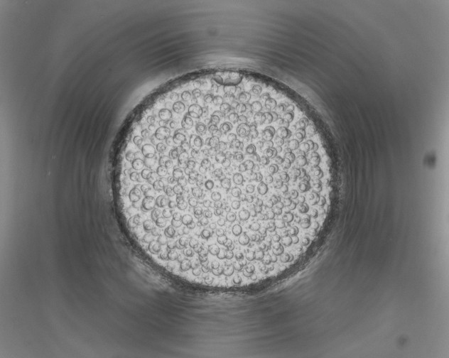 X0000116781022201001281649