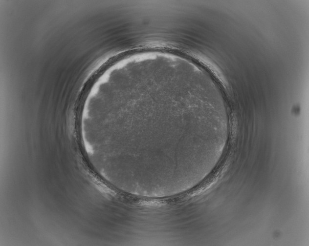 X0000116781023201001281649