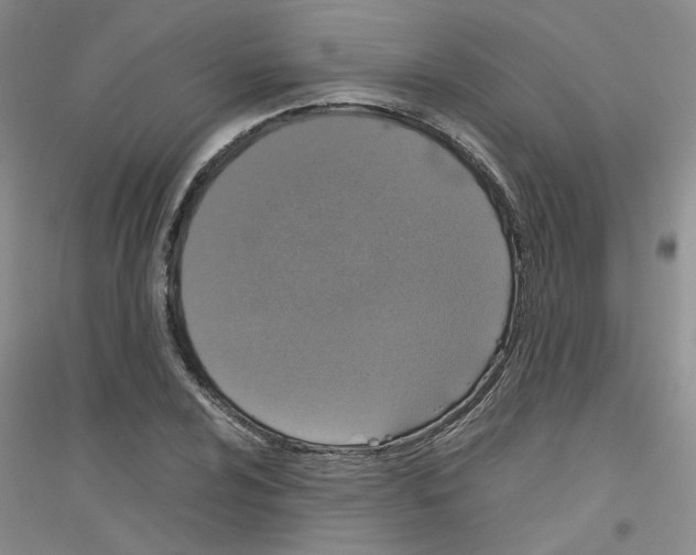 X0000116781024201001281649