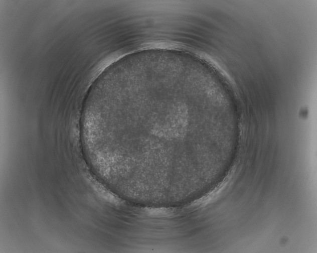 X0000116781025201001281649