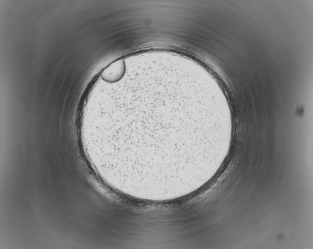 X0000116781026201001281650