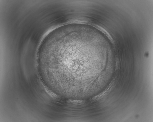 X0000116781027201001281650