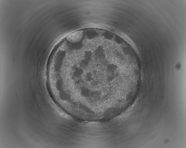 X0000116781028201001281650