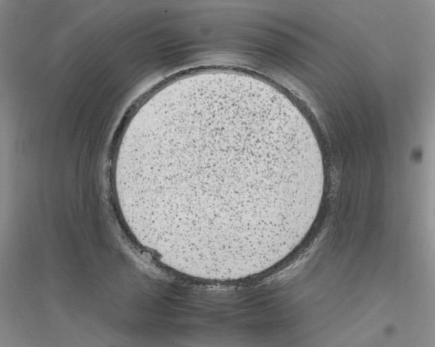 X0000116781029201001281650