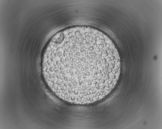 X0000116781030201001281650