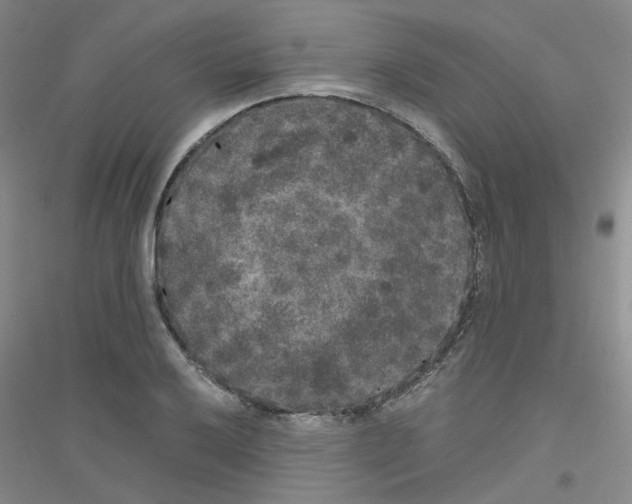 X0000116781032201001281650